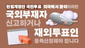 헌법개정안 국민투표, 재외국민 참여방법