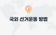 국외 선거운동 방법